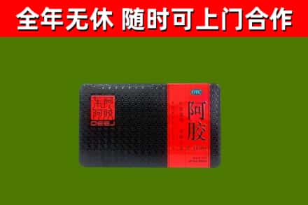 武定县回收阿胶